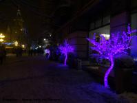 Imagine atasata: Zapada - 2014.12.28 - 109.jpg
